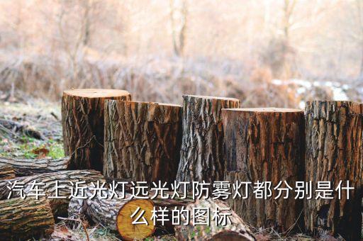 汽車上近光燈遠(yuǎn)光燈防霧燈都分別是什么樣的圖標(biāo)