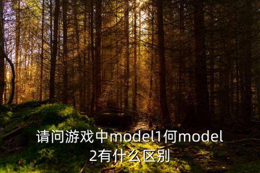 請問游戲中model1何model2有什么區(qū)別