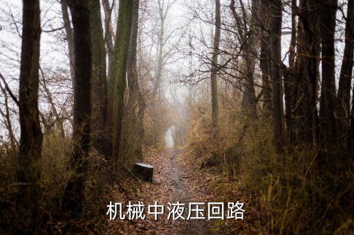 機(jī)械中液壓回路