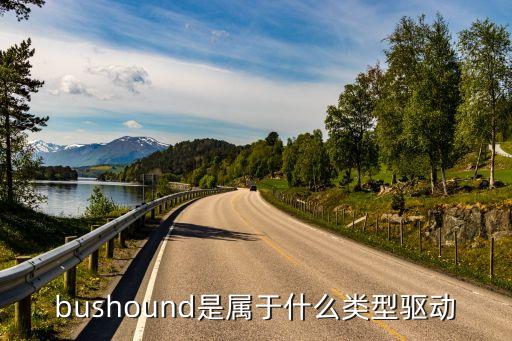 bushound是屬于什么類型驅(qū)動(dòng)