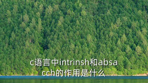 c語(yǔ)言中intrinsh和absacch的作用是什么