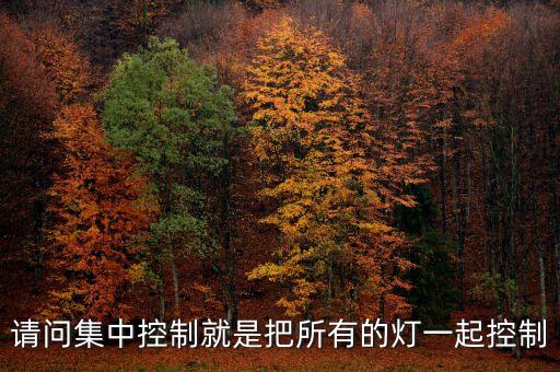 請(qǐng)問集中控制就是把所有的燈一起控制
