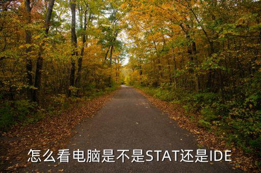怎么看電腦是不是STAT還是IDE