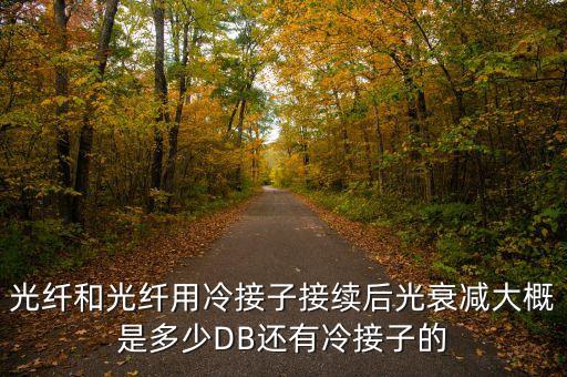 光纖和光纖用冷接子接續(xù)后光衰減大概是多少DB還有冷接子的