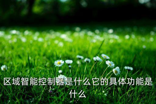 區(qū)域智能控制器是什么它的具體功能是什么
