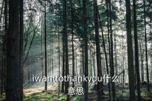 iwanttothankyou什么意思