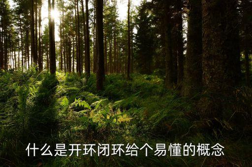 什么是開環(huán)閉環(huán)給個易懂的概念