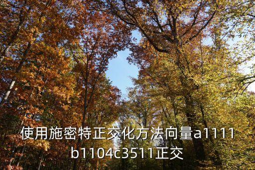 使用施密特正交化方法向量a1111b1104c3511正交
