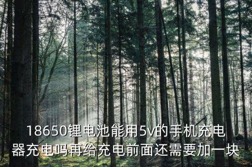 18650鋰電池能用5v的手機充電器充電嗎再給充電前面還需要加一塊