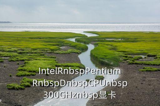 英特爾顯卡官網(wǎng)，IntelRnbspPentiumRnbspDnbspCPUnbsp300GHznbsp顯卡