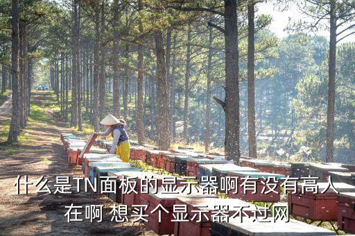 什么是TN面板的顯示器啊有沒有高人在啊 想買個顯示器不過網(wǎng)