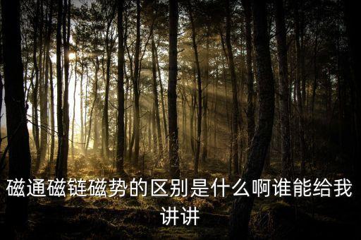磁通磁鏈磁勢的區(qū)別是什么啊誰能給我講講