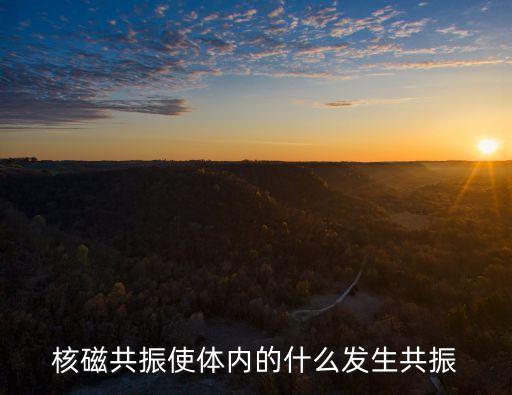 核磁共振使體內(nèi)的什么發(fā)生共振