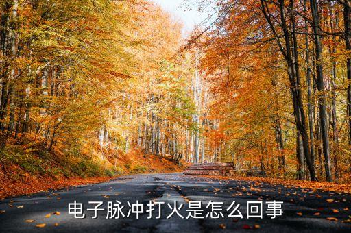 脈沖點(diǎn)火器原理，電子脈沖打火是怎么回事