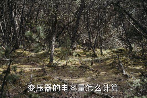 變壓器的電容量怎么計算