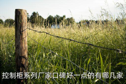 plc控制柜廠家，上?？刂乒駨S家哪家好可以做非標(biāo)的