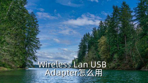 Wireless Lan USB Adapter怎么用