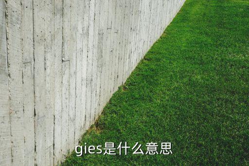gie，GIE是什么做什么的