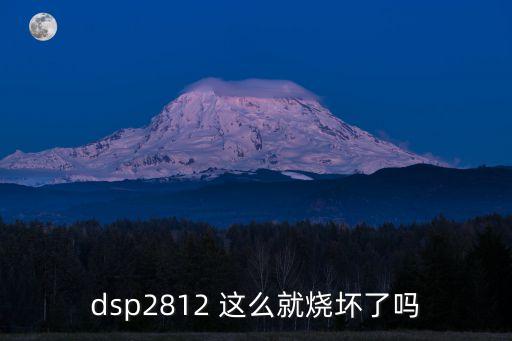 dsp2812 這么就燒壞了嗎
