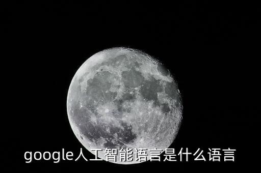 google人工智能語言是什么語言