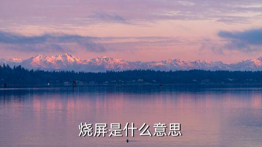 燒屏是什么意思