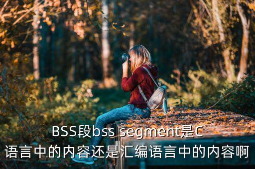 BSS段，BSS段bss segment是C語言中的內(nèi)容還是匯編語言中的內(nèi)容啊