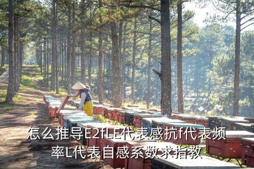 怎么推導(dǎo)E2fLE代表感抗f代表頻率L代表自感系數(shù)求指教