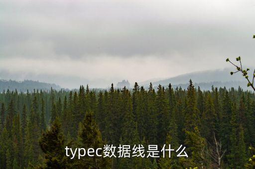 typec數(shù)據(jù)線是什么