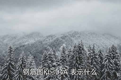 鋼筋圖KL304A 表示什么