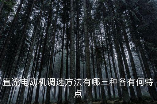 直流電機(jī)調(diào)速，直流電動(dòng)機(jī)調(diào)速方法有哪三種各有何特點(diǎn)