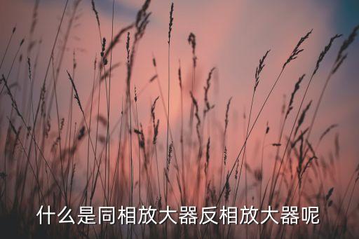 反相放大器，反相電壓放大器是什么