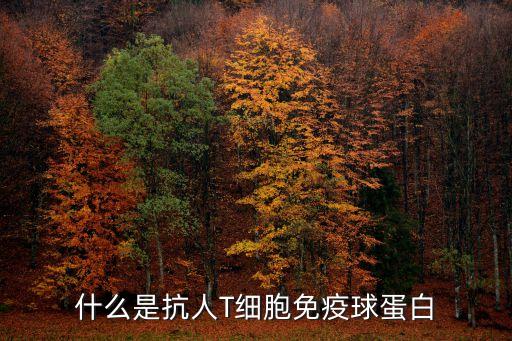 tpa是什么，高血壓中TP比值是什么意思