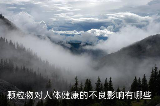 顆粒物對(duì)人體健康的不良影響有哪些