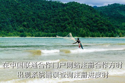 在中國聯(lián)通合作門戶網(wǎng)站注冊合作方時出現(xiàn)系統(tǒng)錯誤查詢注冊進(jìn)度時
