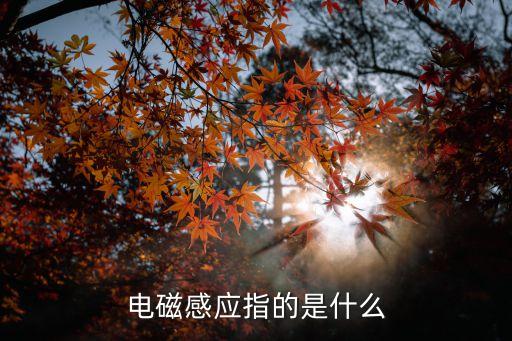 磁感應(yīng)，電磁感應(yīng)指的是什么