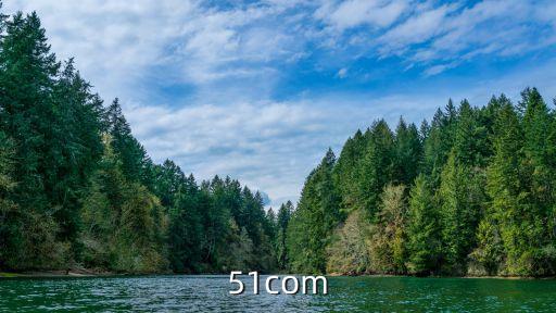 51com