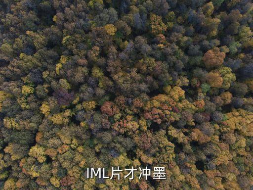 IML片才沖墨
