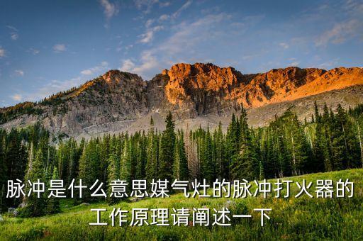 脈沖是什么意思媒氣灶的脈沖打火器的工作原理請闡述一下