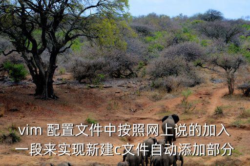 vim 配置文件中按照網(wǎng)上說的加入一段來實現(xiàn)新建c文件自動添加部分