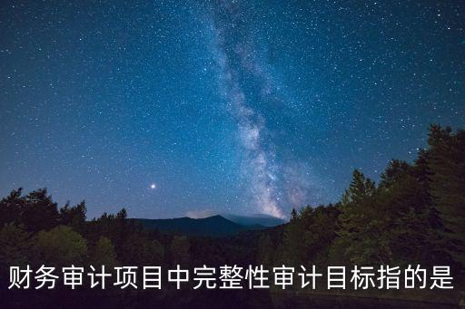 財(cái)務(wù)審計(jì)項(xiàng)目中完整性審計(jì)目標(biāo)指的是