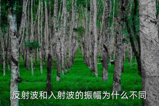 反射波和入射波的振幅為什么不同