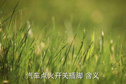 汽車點火開關插腳 含義