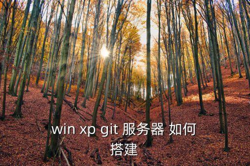 git服務(wù)器搭建，怎樣在一臺(tái)電腦搭建git服務(wù)器和本地端