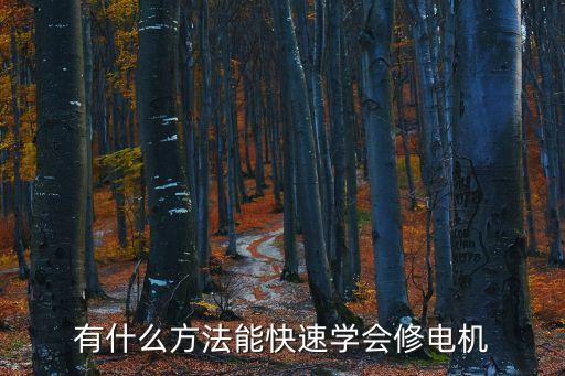 有什么方法能快速學(xué)會(huì)修電機(jī)
