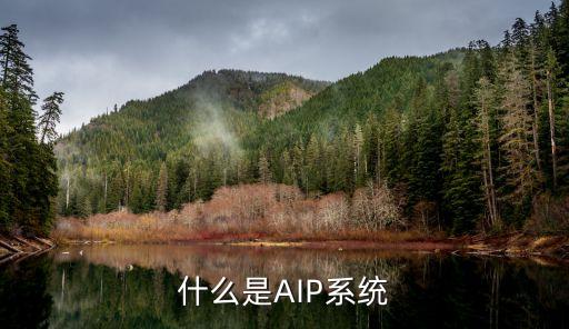 什么是AIP系統(tǒng)