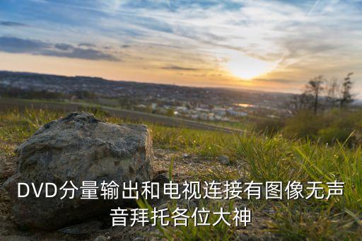 DVD分量輸出和電視連接有圖像無聲音拜托各位大神