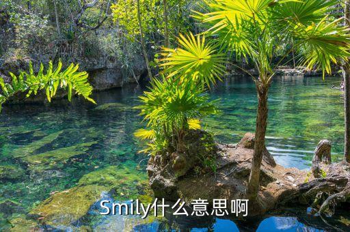 SMILY，Smily什么意思啊