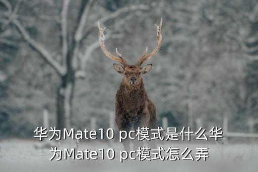 華為手機(jī)投屏到電腦，華為筆記本matebookD15能用手機(jī)投屏嗎
