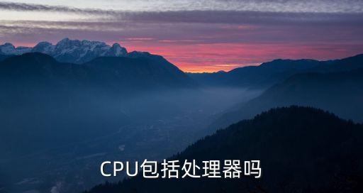 CPU包括處理器嗎