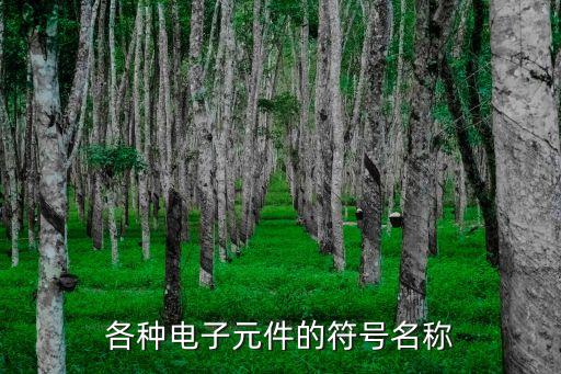 各種電子元件的符號名稱
